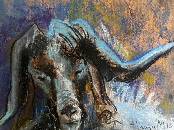 Ram #9 , 2018